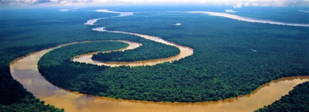 Amazon-river-delfin-fb-banner